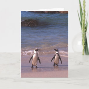 Pinguin-Paare auf der Strand Karte