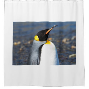 Pinguin-Portrait Duschvorhang