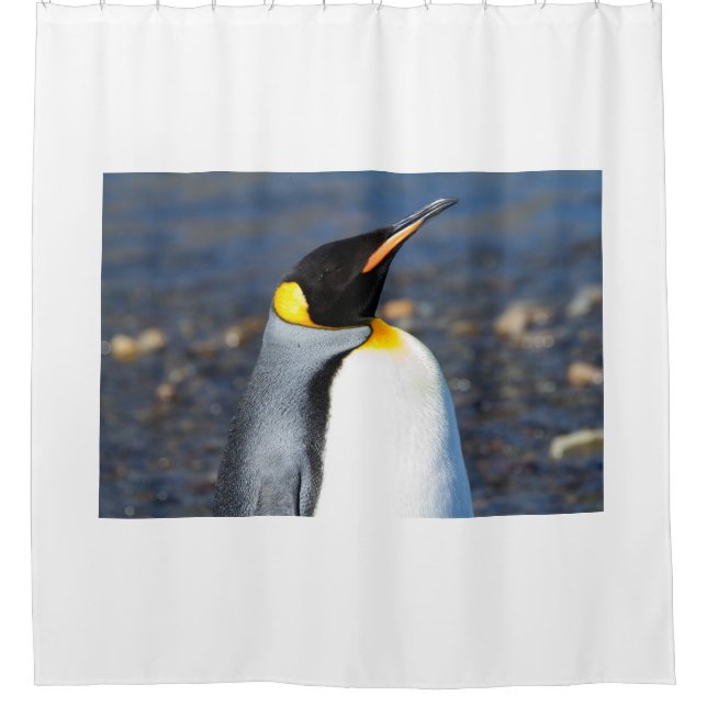 Pinguin-Portrait Duschvorhang (Vorderseite)