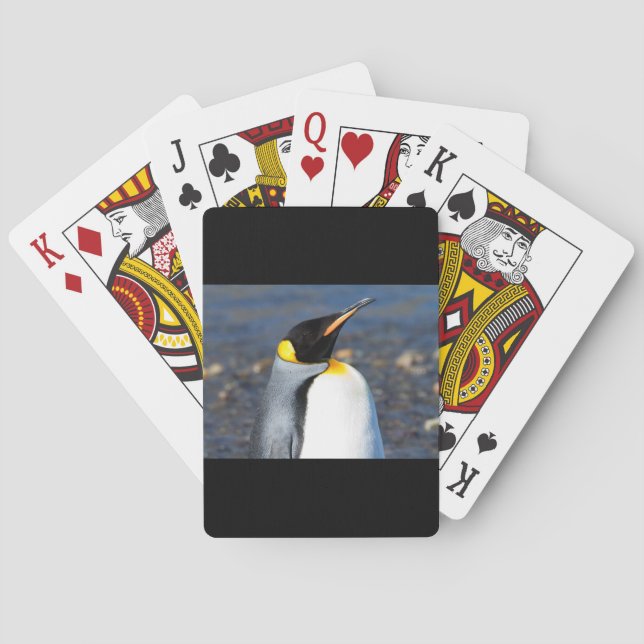 Pinguin-Portrait Spielkarten (Rückseite)