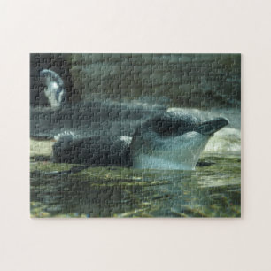 Pinguin-Puzzlespiel