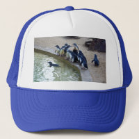 Pinguin Relay: Pinguin Flock Swim Team,