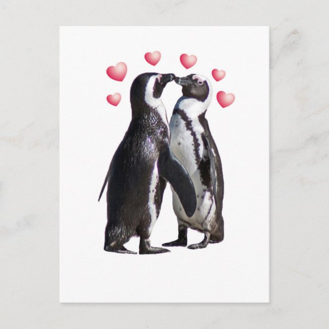 Pinguin Romance Postkarte (Vorderseite)