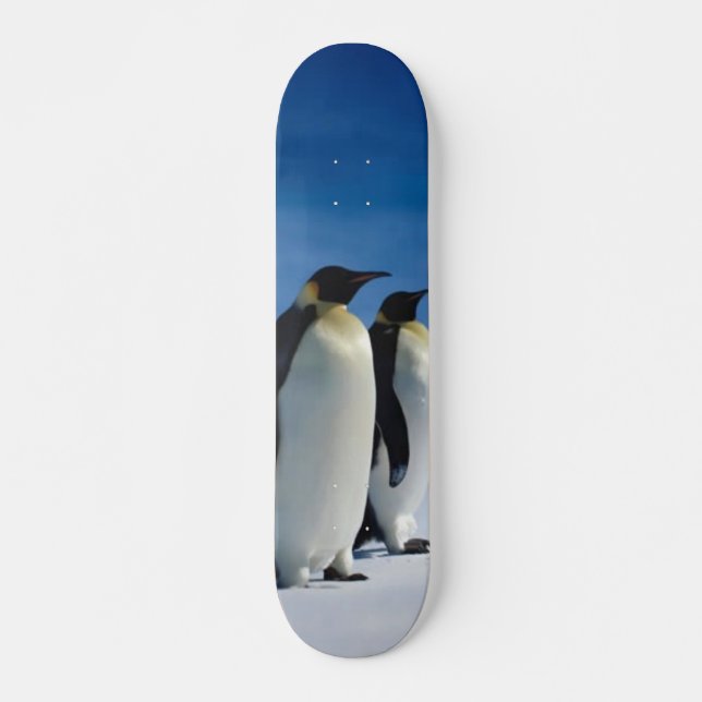 Pinguin Skateboard (Vorne)