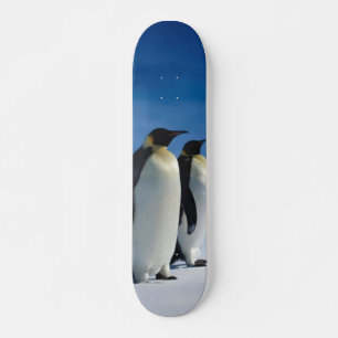 Pinguin-Skateboard Skateboard