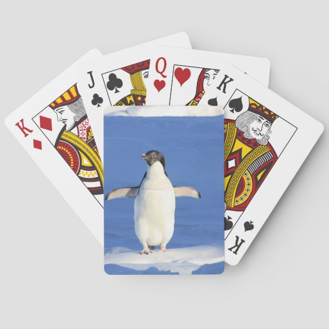 Pinguin Spielkarten (Rückseite)