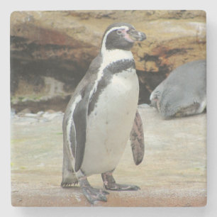 Pinguin Stehend Alone Steinuntersetzer