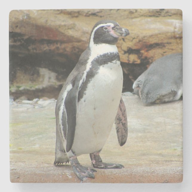 Pinguin Stehend Alone Steinuntersetzer (Vorderseite)