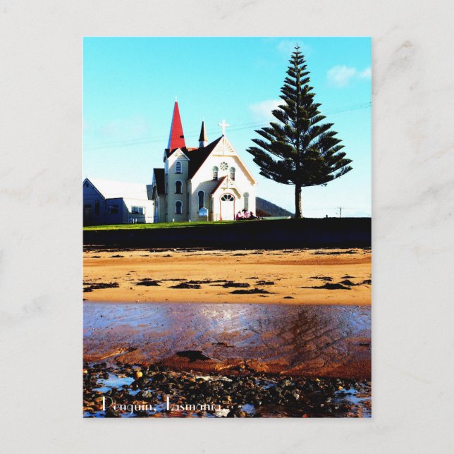 Pinguin, Tasmanien. Postkarte (Vorderseite)