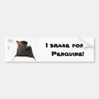 Pinguin-tastic Autoaufkleber