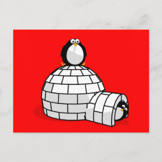Pinguin und Iglu Postkarte