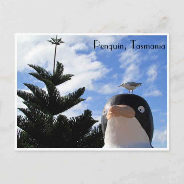 Pinguin und Möwe Postkarte (Vorderseite)