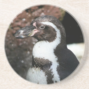 Pinguin-Untersetzer Getränkeuntersetzer