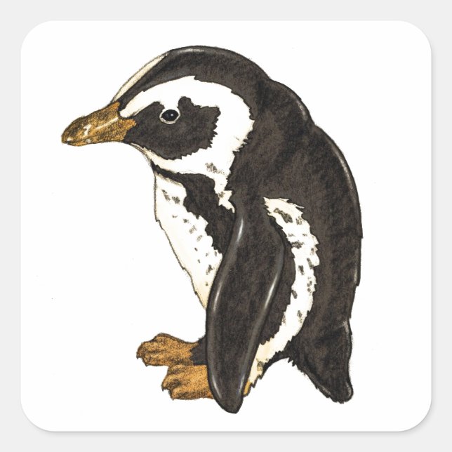Pinguin von Liesel Bendio Potter Quadratischer Aufkleber (Vorderseite)