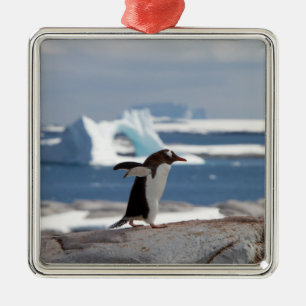 Pinguin vor einem Eisbogen Ornament Aus Metall
