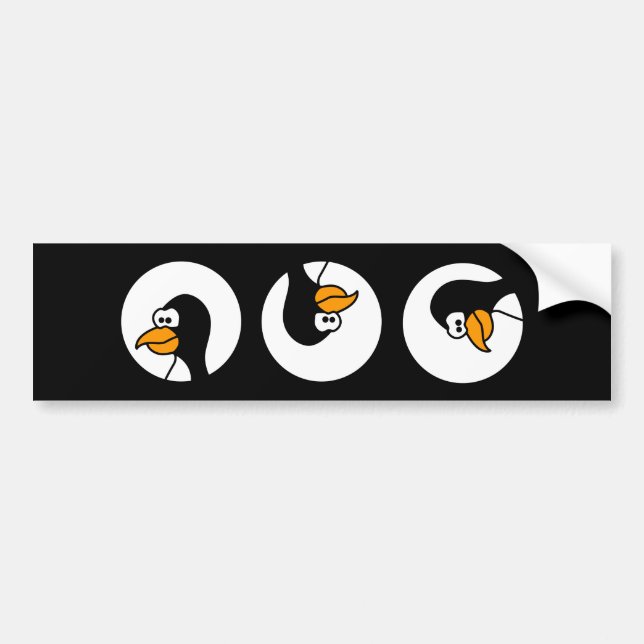 Pinguindrehungen in den Kreisen Autoaufkleber (Vorne)