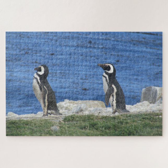 Pinguine (Horizontal)