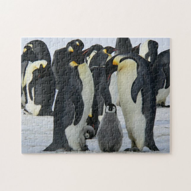 Pinguine (Horizontal)