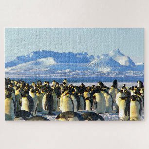 Pinguine
