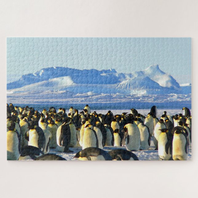 Pinguine (Horizontal)