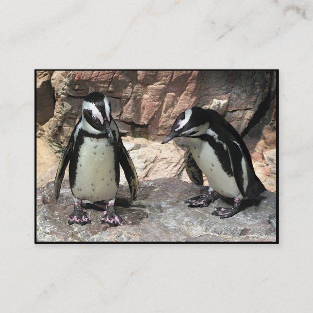 Pinguine ATC Visitenkarte (Vorderseite)
