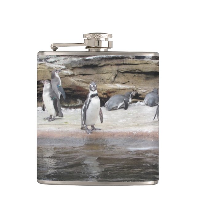 Pinguine auf den Felsen Flachmann (Vorderseite)