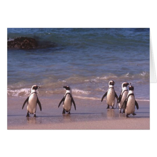 Pinguine auf der Strand Karte