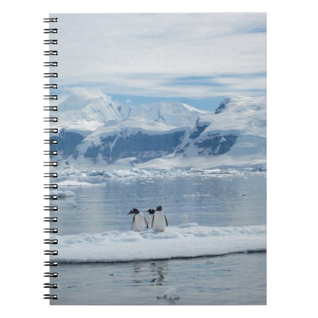 Pinguine auf einem Eisberg Notizblock (Vorderseite)