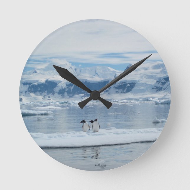 Pinguine auf einem Eisberg Runde Wanduhr (Vorderseite)