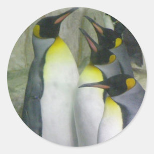 Pinguine, Aufkleber