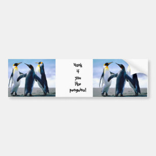 Pinguine Autoaufkleber