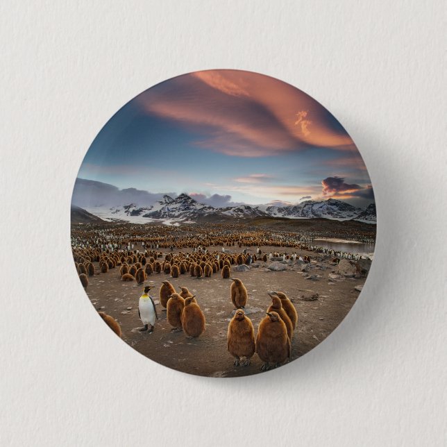 Pinguine bei Sonnenuntergang Button (Vorderseite)
