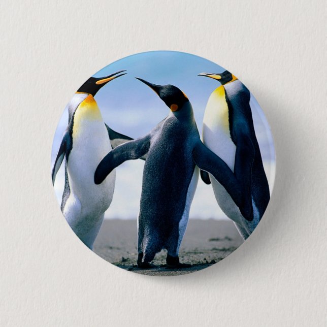 Pinguine Button (Vorderseite)