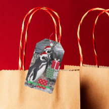 Pinguine, die einen Urlaub in Roten Weihnachtsmann