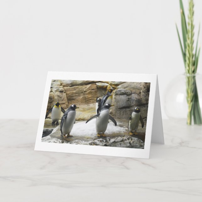 Pinguine Feiertagskarte (Vorderseite)