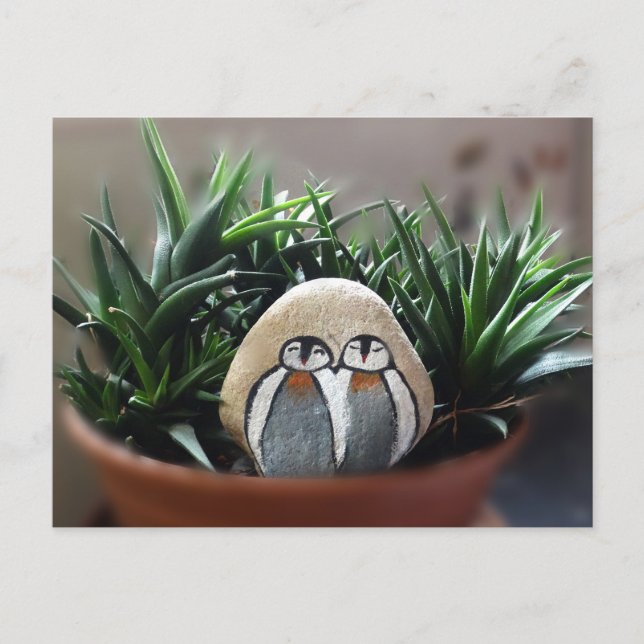 Pinguine Gesteintes Foto Postkarte (Vorderseite)