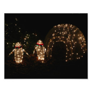 Pinguine Holiday Light Display Fotodruck