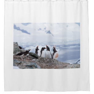 Pinguine in der Antarktis Duschvorhang
