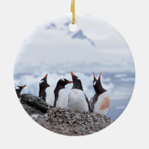 Pinguine in der Antarktis Keramik Ornament