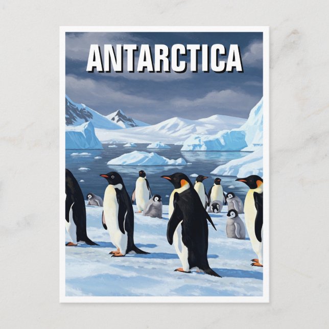 Pinguine in der Antarktis Postkarte (Vorderseite)