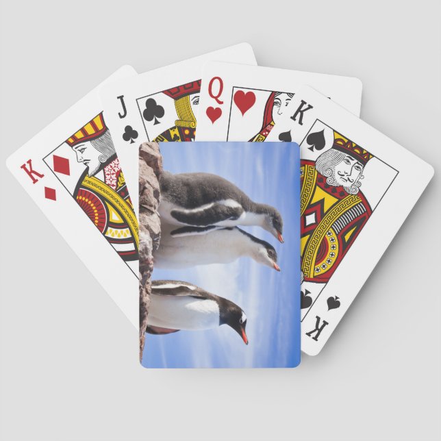 Pinguine in der Antarktis Spielkarten (Rückseite)