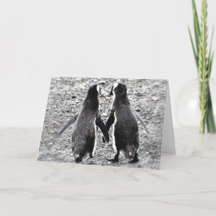 Pinguine in der Liebe Karte