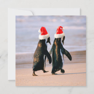 Pinguine in Weihnachtsmannmützen am Strand Feiertagskarte