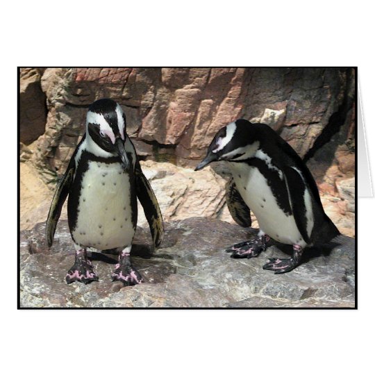 Pinguine Karte
