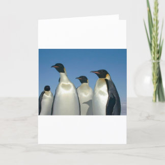 PINGUINE KARTE
