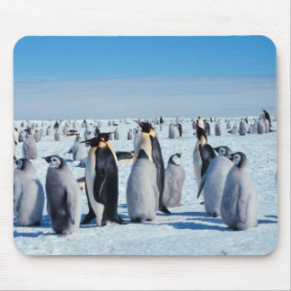 Pinguine Mousepad