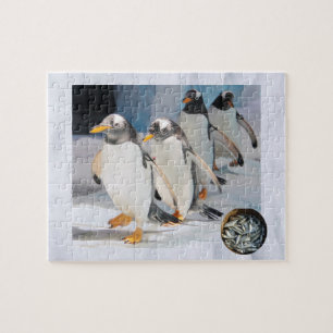 Pinguine on Ice im Zoo, Alter 6, Sardinen Fisch