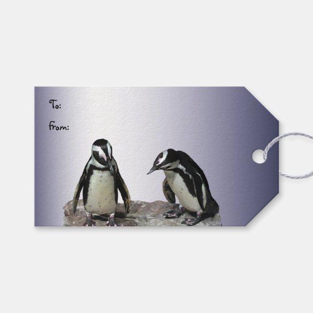 Pinguine Pack mit Geschenketiketten Geschenkanhänger (Vorderseite (Horizontal))