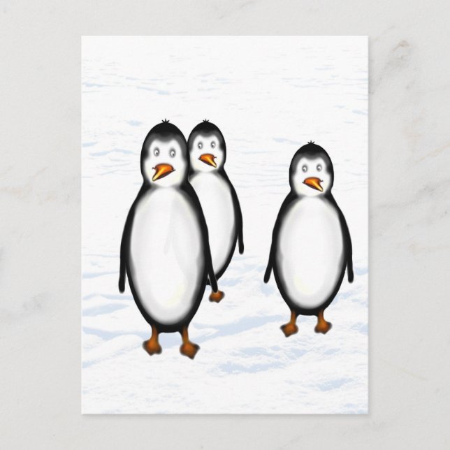 Pinguine Postkarte (Vorderseite)