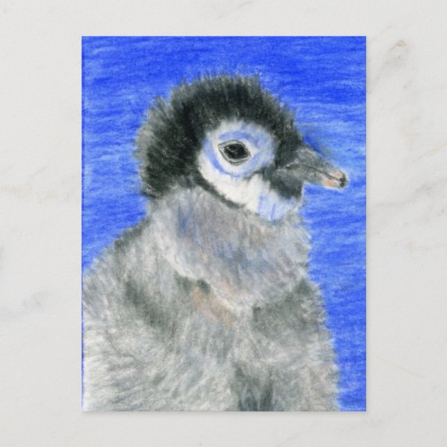 Pinguine Postkarte (Vorderseite)